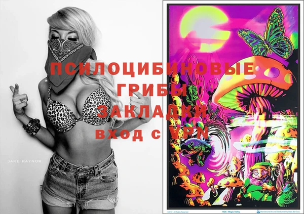мяу мяу мука Ладушкин