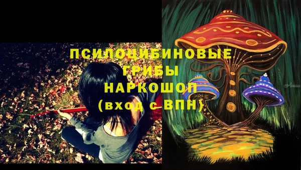 прущий лед Липки