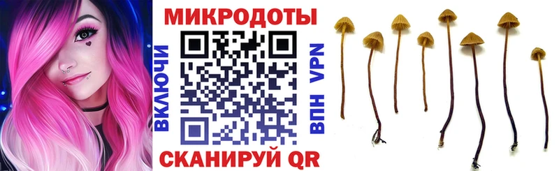 Псилоцибиновые грибы прущие грибы  наркотики  Электроугли 